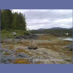 1998_513_Metlakatla.html
