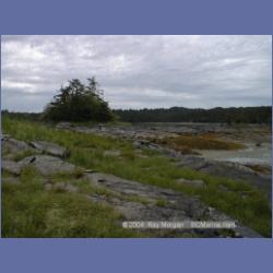 1998_522_Metlakatla.html