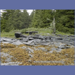 1998_527_Metlakatla.html