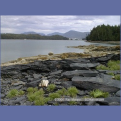 1998_530_Metlakatla.html