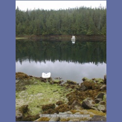 2002_713_Meyers_Passage.html