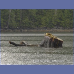 2004_7341_Meyers_Passage.html