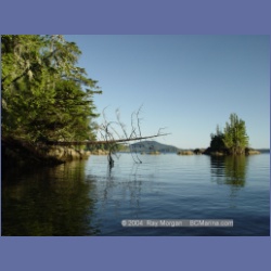 2004_7439_Price_Island_Milbanke_Sound.html