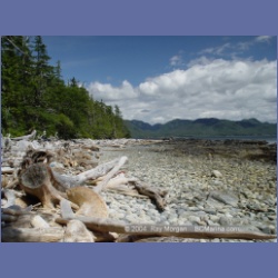 2004_7750_Price_Island_Milbanke_Sound.html
