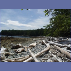 2004_7753_Price_Island_Milbanke_Sound.html