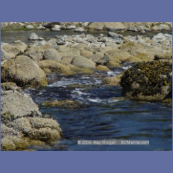 2004_6410_Miles_Inlet.html