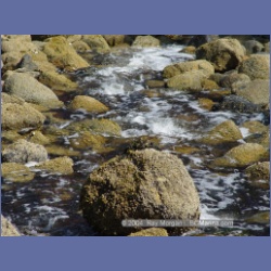 2004_6411_Miles_Inlet.html