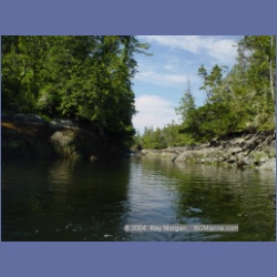 2004_6426_Miles_Inlet.html