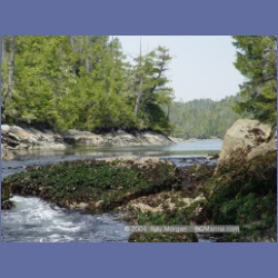 2004_6441_Miles_Inlet.html