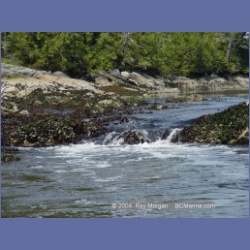 2004_6443_Miles_Inlet.html