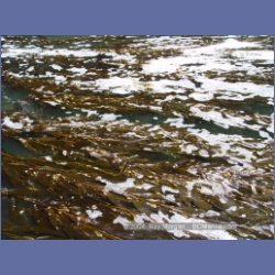 2004_6445_Miles_Inlet.html