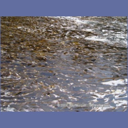 2004_6446_Miles_Inlet.html