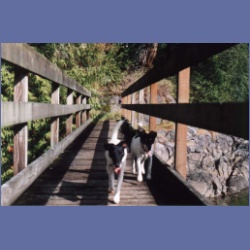 1997_minstrel80.html
