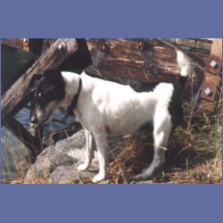 1997_minstrel8a.html