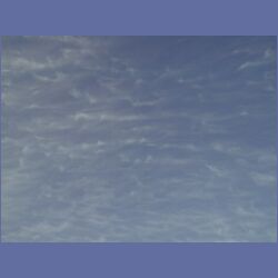 200X_193.jpg