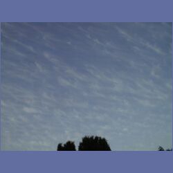 200X_194.jpg