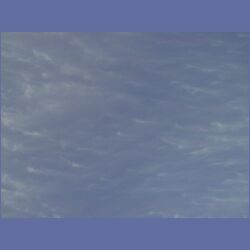 200X_195.jpg