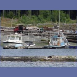2003_4783_Mitchell_Bay_Malcolm_Island.html