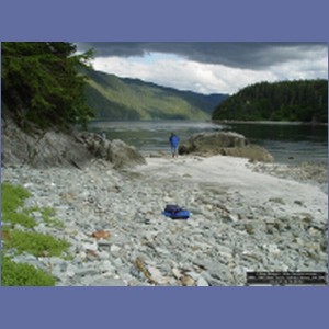 2006_1545_Mite_Cove_Yakobi_Island_AK.JPG