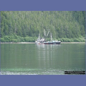 2006_1546_Mite_Cove_Yakobi_Island_AK.JPG