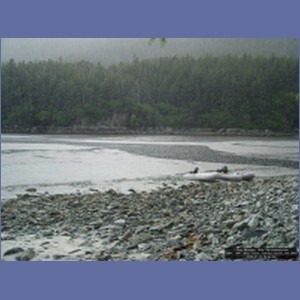 2006_1547_Mite_Cove_Yakobi_Island_AK.JPG