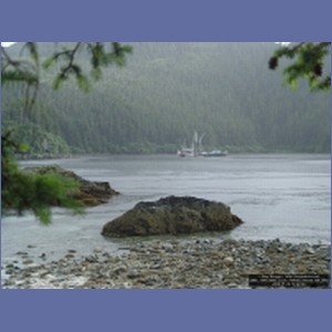 2006_1548_Mite_Cove_Yakobi_Island_AK.JPG
