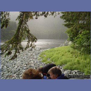 2006_1549_Mite_Cove_Yakobi_Island_AK.JPG