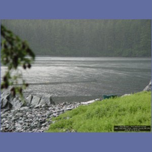 2006_1550_Mite_Cove_Yakobi_Island_AK.JPG