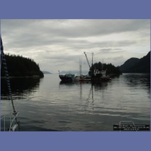 2006_1555_Mite_Cove_Yakobi_Island_AK.JPG