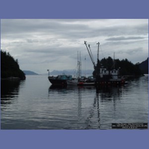 2006_1556_Mite_Cove_Yakobi_Island_AK.JPG