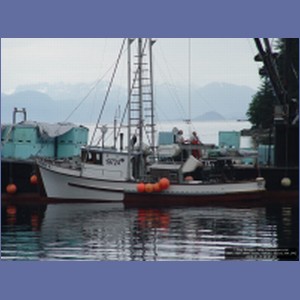 2006_1557_Mite_Cove_Yakobi_Island_AK.JPG