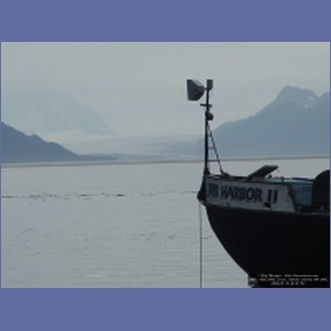 2006_1558_Mite_Cove_Yakobi_Island_AK.JPG