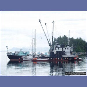 2006_1559_Mite_Cove_Yakobi_Island_AK.JPG