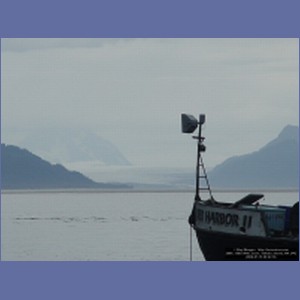 2006_1560_Mite_Cove_Yakobi_Island_AK.JPG