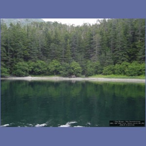2006_1561_Mite_Cove_Yakobi_Island_AK.JPG