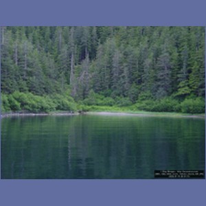 2006_1562_Mite_Cove_Yakobi_Island_AK.JPG