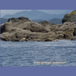 2004_6185_Mitlenatch_Island.html