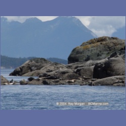 2004_6187_Mitlenatch_Island.html