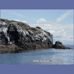 2004_6188_Mitlenatch_Island.html