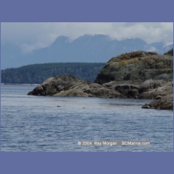 2004_6192_Mitlenatch_Island.html