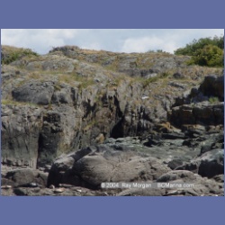 2004_6194_Mitlenatch_Island.html