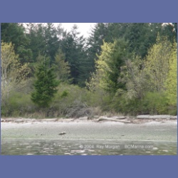 2003_1471_Montague_Harbour_Galiano_Island.html