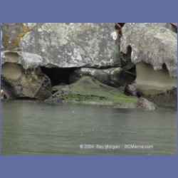2003_1487_Montague_Harbour_Galiano_Island.html