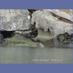 2003_1489_Montague_Harbour_Galiano_Island.html