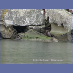 2003_1490_Montague_Harbour_Galiano_Island.html