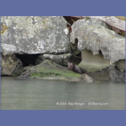 2003_1491_Montague_Harbour_Galiano_Island.html