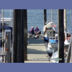 2003_5103_Montague_Harbour.html