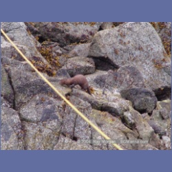 2004_6792_Mouat_Cove.html