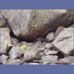 2004_6796_Mouat_Cove.html