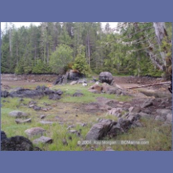 2004_6815_Mouat_Cove.html